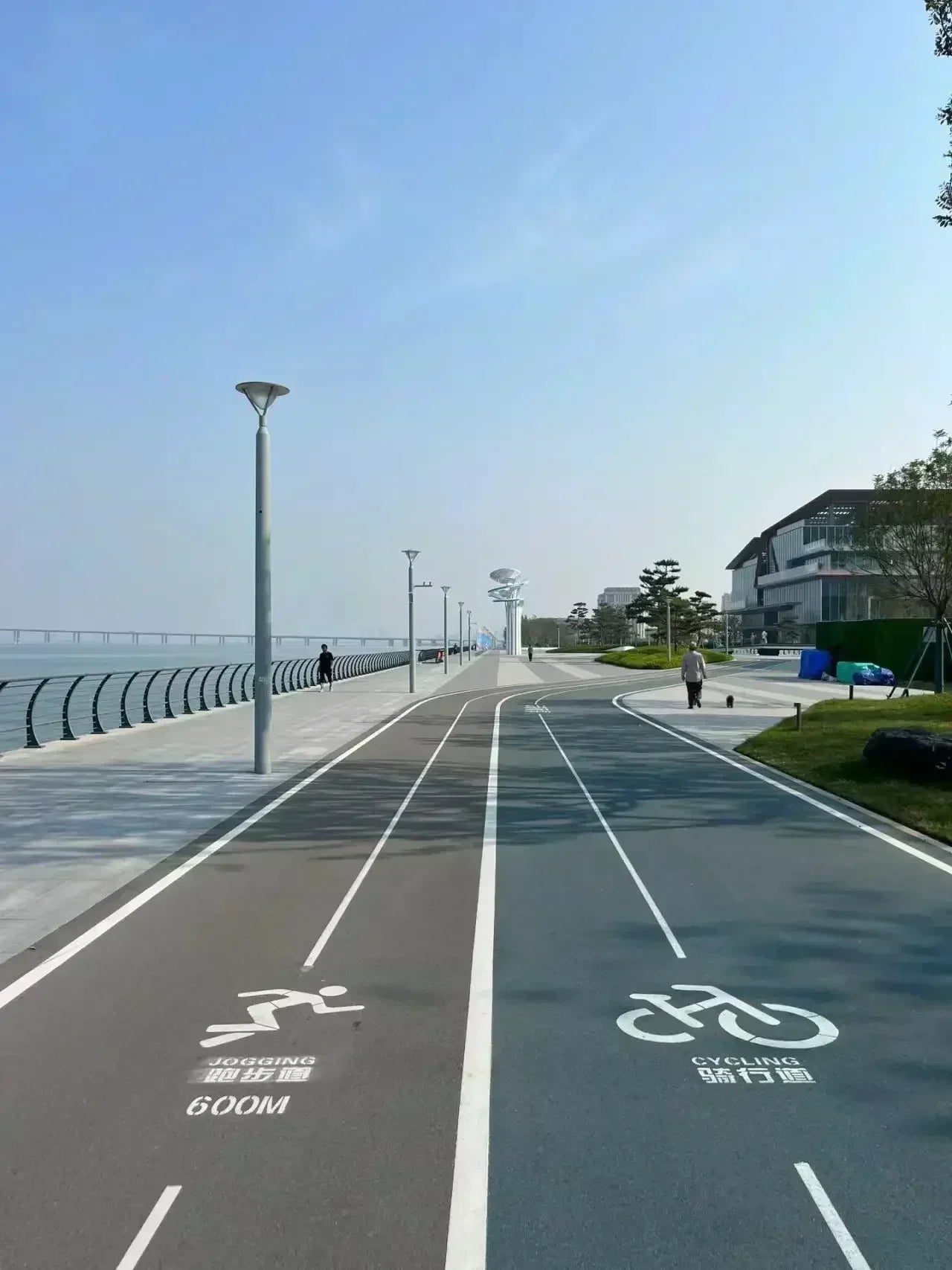 Men's EVERLAST Sportswear Fitness Gym Clothing Running Set Sportswear Straps Autumn_Winter Hoodie Set New Style clothes for men